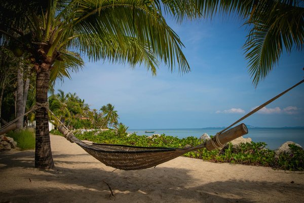 Comment les nouvelles technologies transforment-elles le secteur touristique ?